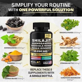 Sea Moss & Shilajit (Black Seed Oil, Turmeric, Ashwagandha, Ginger, Vitamin D)