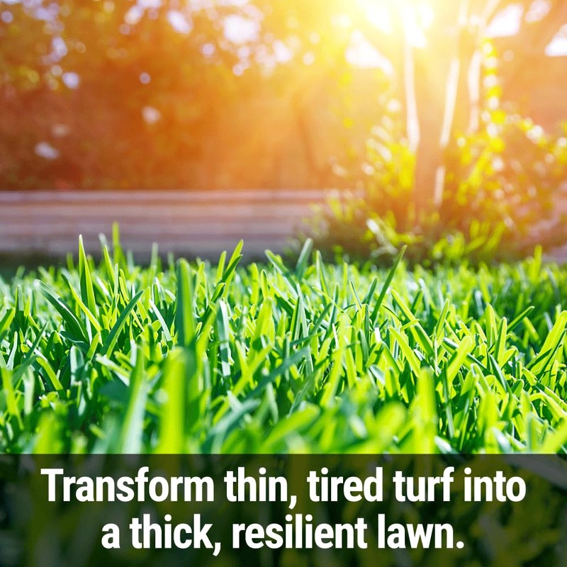 Seedlingers Fix & Feed Lawn Food Gallon Concentrate