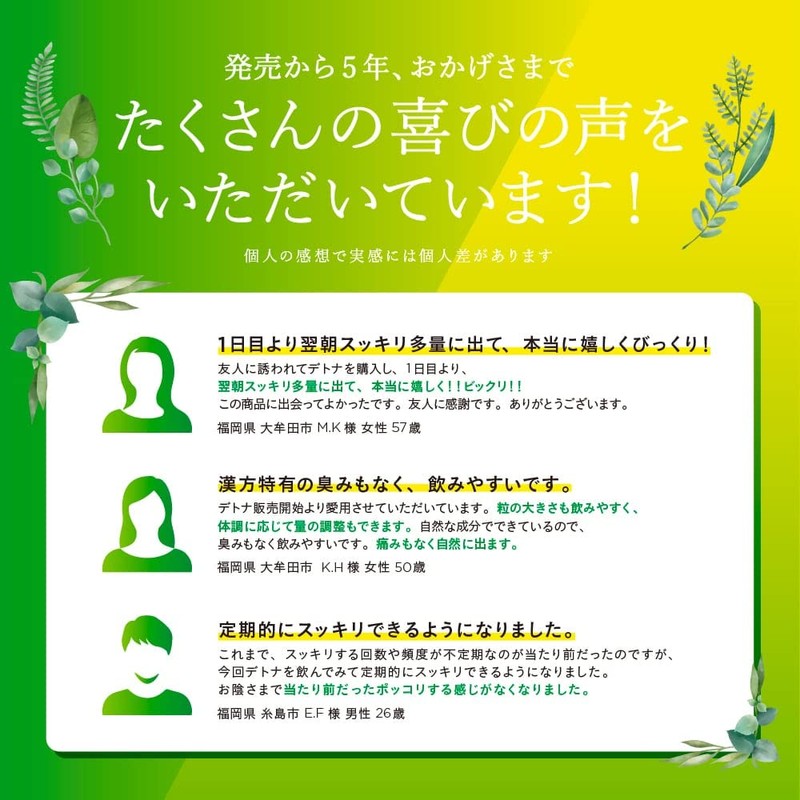 毎朝爽快DETNA(デトナ) 翌朝スッキリ 糖質制限ダイエットのツマリ解消 創業昭和13年の漢方専門店監修 90粒 約30日分