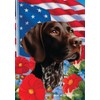 German Shorthair Pointer - Best of Breed All-American Patriotic I