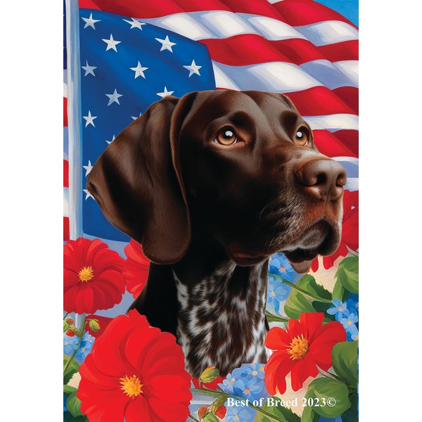 German Shorthair Pointer - Best of Breed All-American Patriotic I