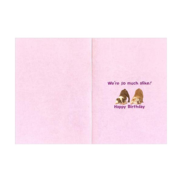 Designer Greetings Cute, Sweet, Loveable, Intelligent, Smart Bulldog Funny : Humorous Dog Birthday Card