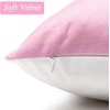 Haooryx Preppy Velvet Pillow Covers - 2Pcs Soft Hot Pink