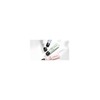 Choose 1 of 4 Prime Time Primers / 프라임 타임