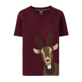 Gymboree Boys and Toddler Embroidered Graphic Long Sleeve Layered T-Shirts, County Goat, 3T