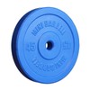 Mini Barbell Color Bumper Plates - Weight: 35lbs, Pairs: 2