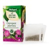 Milk Thistle Herbal Tea Natural Pure and Refreshing Herbal Fruit Infusion Herbapol