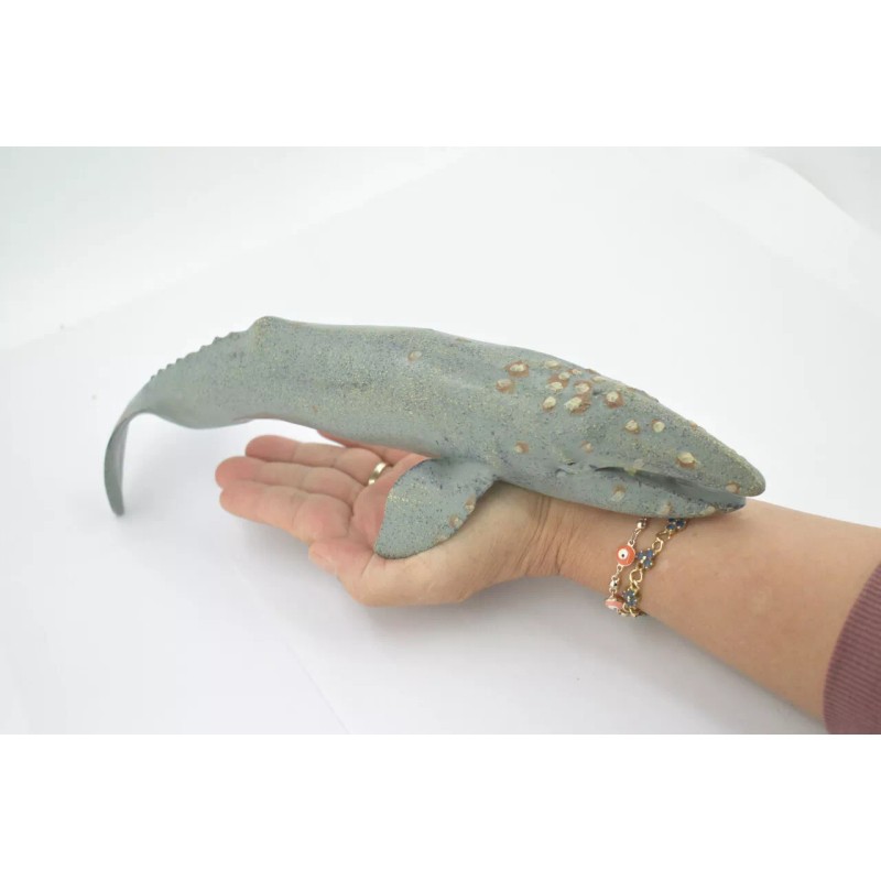 Unbranded Model Gray Whale, Large Rubber Realistic Figure Replica Toy
