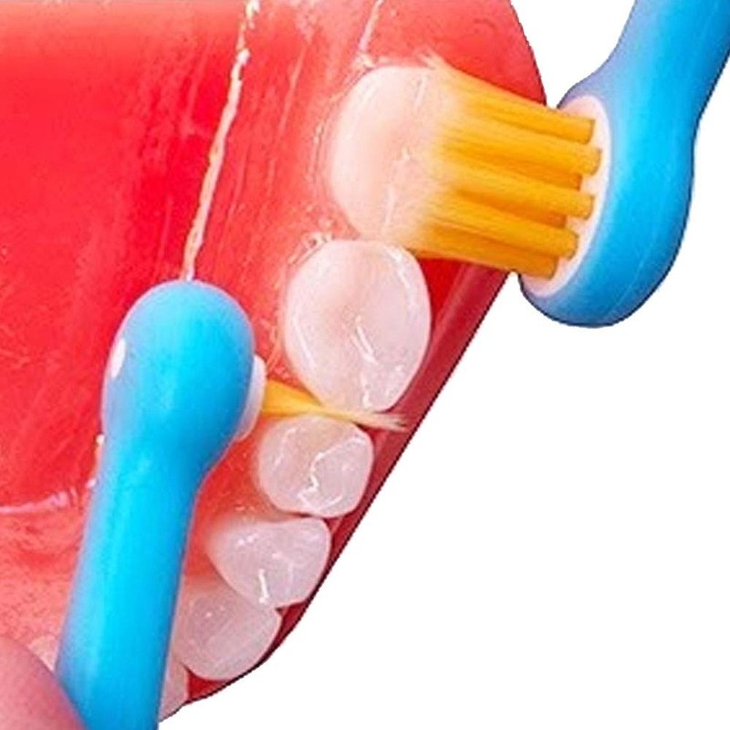 Edel+White Bacterio Target & Focus Brush Heads