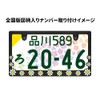 DAISY License Plate Frame, 3D Floral Pattern, Matte, License Frame,