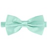 BomGuard Men's Bow Tie in 40 Colours (Black, Red etc.)