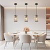 Biewalk Black Pendant Light Fixtures Modern Black Pendant Lighting Crystal