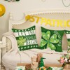 GEEORY Happy St. Patrick's Day Pillow Covers 16 x 16