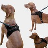 No-Pull Dog Harness, Adjustable Outdoor Pet Vest, Reflective Oxford Material,