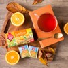 TEEKANNE - Citrus MIX (NEW) - Sammlung Zitrusfrüchte Tee-Set -