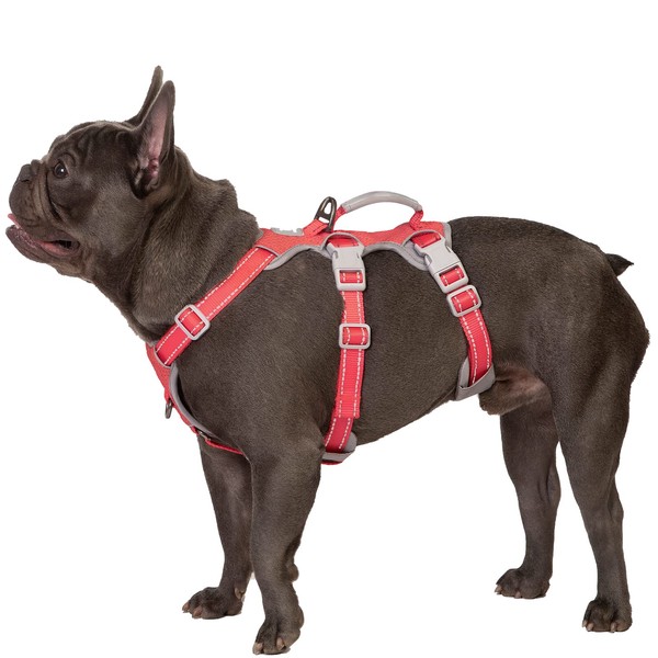 Huntboo Escape Proof Dog Harness, Secure Dog Harness No Escape,