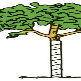 Walter E Clark 36-Inch Vinyl Tree Wrap 00436