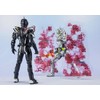 S.H. Figuarts Kamen Rider Arc Zero & Arc Effect Parts