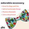 Huxley & Kent Extra-Large Bow Tie Collar Attachment - Fun,