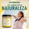 Commons Hongos Adaptógenos Hongo Chaga Extracto Puro Polvo 100 Suplemento