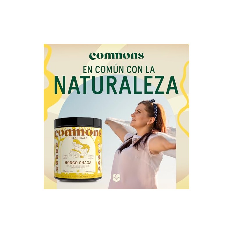 Commons Hongos Adaptógenos Hongo Chaga Extracto Puro Polvo 100 Suplemento