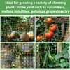 Trellis Netting For Climbing Plants - MAQIHAN 2 PCS Garden