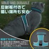 Cat Harness, No Shedding Double Lock, Easy, Cat Leash Harness,