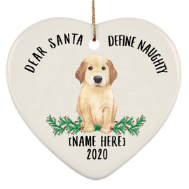 Funny Golden Retriever Puppy Dear Santa Define Naughty Gifts 2025 Christmas Tree Ornaments Heart