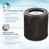 Germ Guardian FLT4700 360-degree True HEPA Genuine Air Purifier Replacement