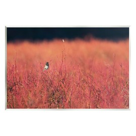 Stupell Industries Bird in Red Field Wall Plaque Art Design by Nancy Crowell