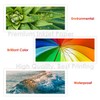 Koala Inkjet High Gloss Photo Paper 10 x 15 cm