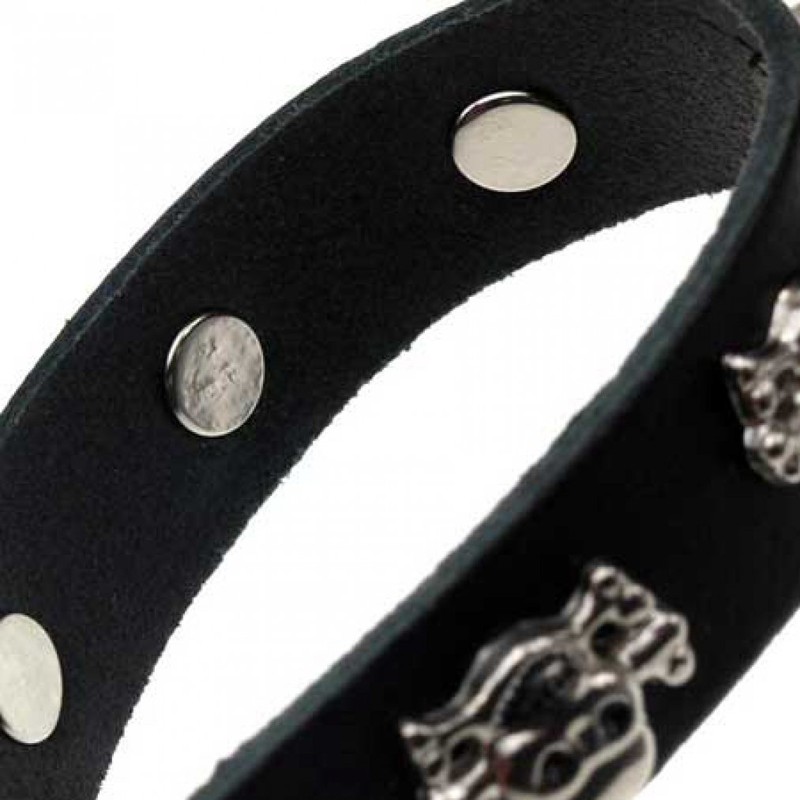 Collar with Skull & Bones designs