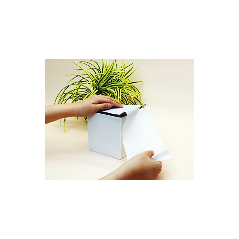 Butterfly Plastic Tissue Case