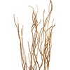 Green Floral Crafts Curly Willow Branches (Gold Glitter, Gold Glitter)