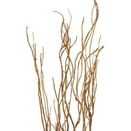 Green Floral Crafts Curly Willow Branches (Gold Glitter, Gold Glitter)