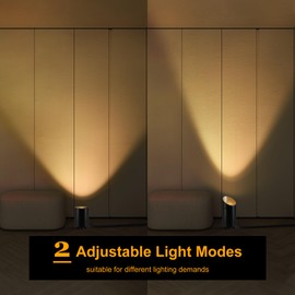 Yisuro Uplighting Indoor Spotlight, 2 in 1 Detachable Up Lights Indoor Floor Can Light with GU10 Bulb 3000K, Foot Switch & UL Listed 6.56FT Plug Cord, Spot Lights for Picture Plant Home,(2 Pack)