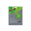 Entel Snail Mask Pack 1p Moisture Pack Sheet Pack Skin Soothing 22ea