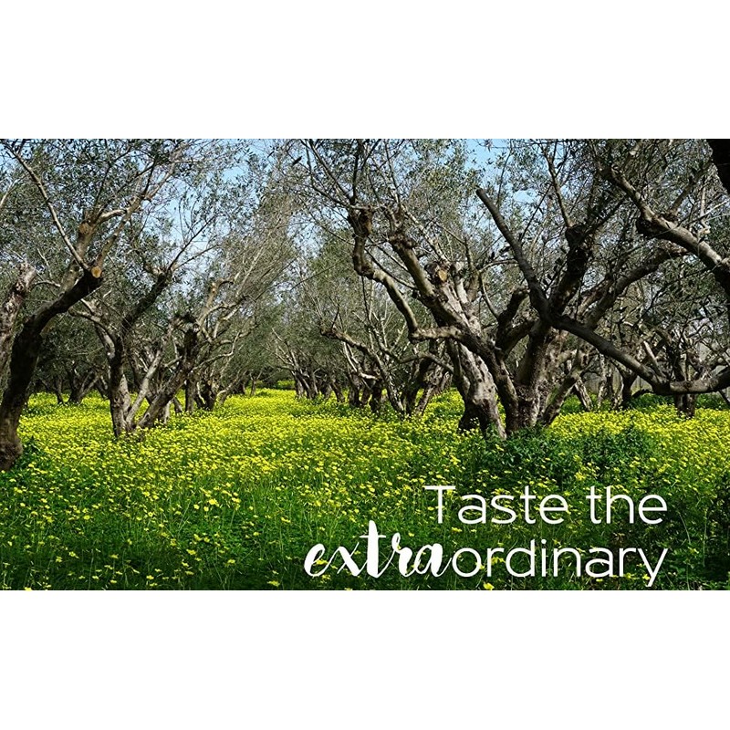 Terra Creta, 100% Koroneiki Variety, Estate Greek Extra Virgin Olive