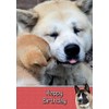 Akita Birthday Card