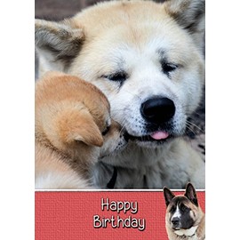 Akita Birthday Card
