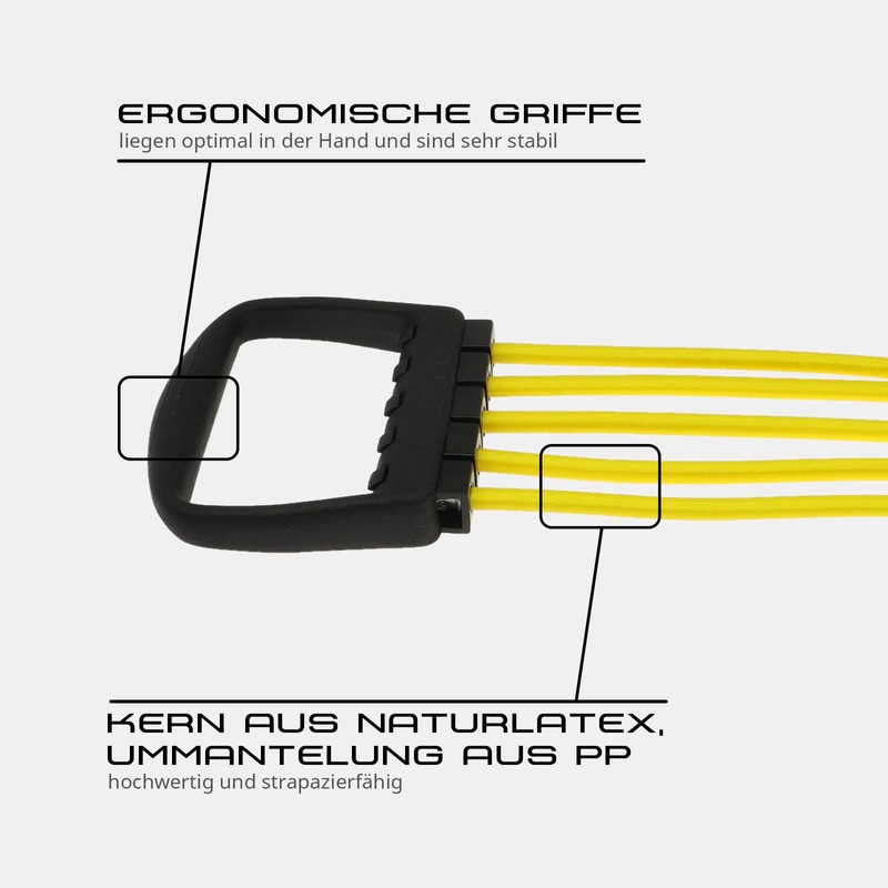 Schmidt Sports Elastikon Chest Expander I