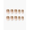 Reusable Nail Tip Rooibos Tea (Regular Square) / 리유저블 네일팁