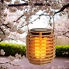 Solar Garden Lights - Solar Lantern Lights Outdoor Decor,Decorative Waterproof
