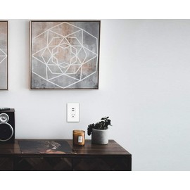 Legrand-Pass & Seymour TM8USBWCCV6 Decorator Combo Recept + USB Vision Electrical Outlet, White