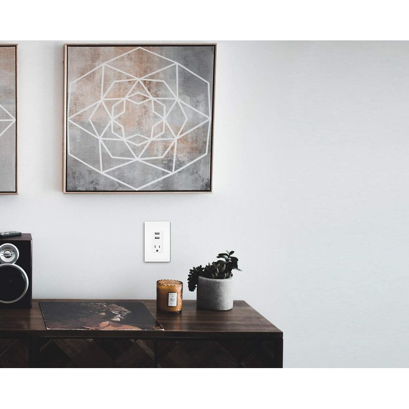 Legrand-Pass & Seymour TM8USBWCCV6 Decorator Combo Recept + USB Vision