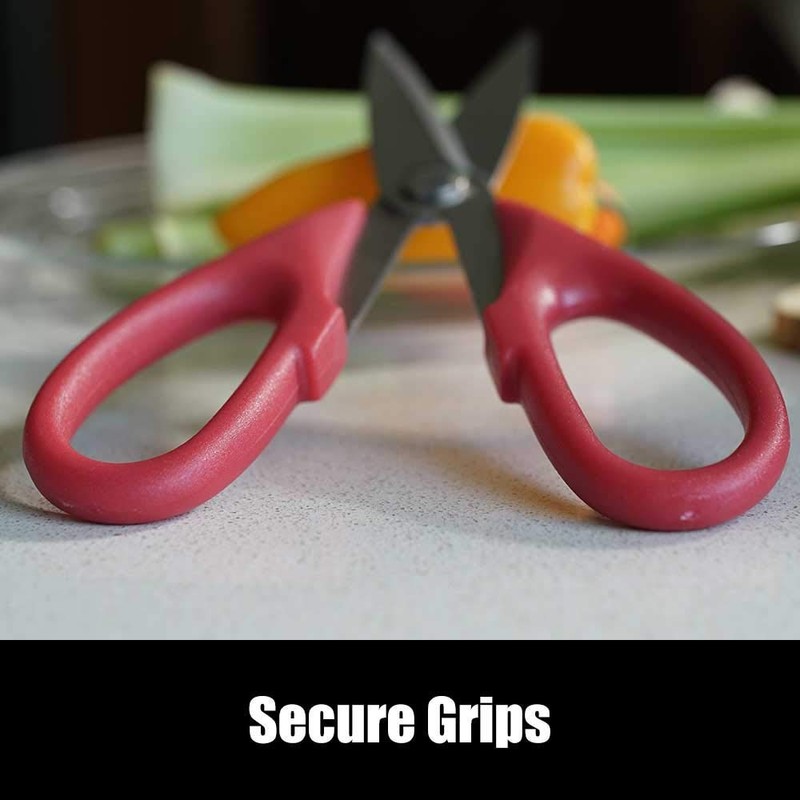 LaMi Kitchen Stainless Steel Shears, 8.5 Inch