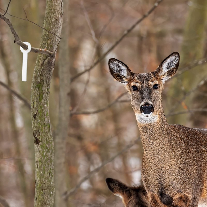 Oudain Deer Urine Wick White Hunting Scent Buck Attractant Wicks