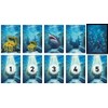 EJP Games Undersea Shark Ruins for 2-5 Players