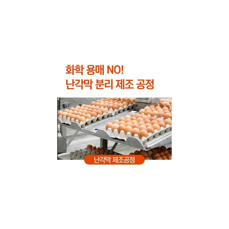 IDEA M BH Well Egg Shell Membrane Hydrolyzed Fire 60