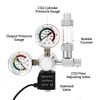 QWORK® Aquarium CO2 Pressure Reducer Dual Gauge Display with Bubble